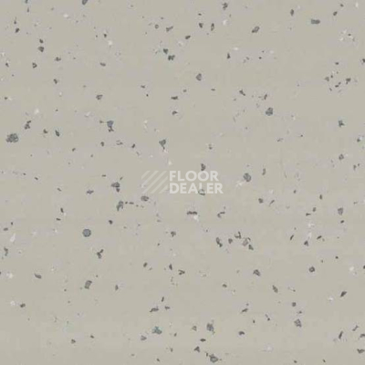 Линолеум Taralay Premium Indiana 3788 Nauru фото 1 | FLOORDEALER